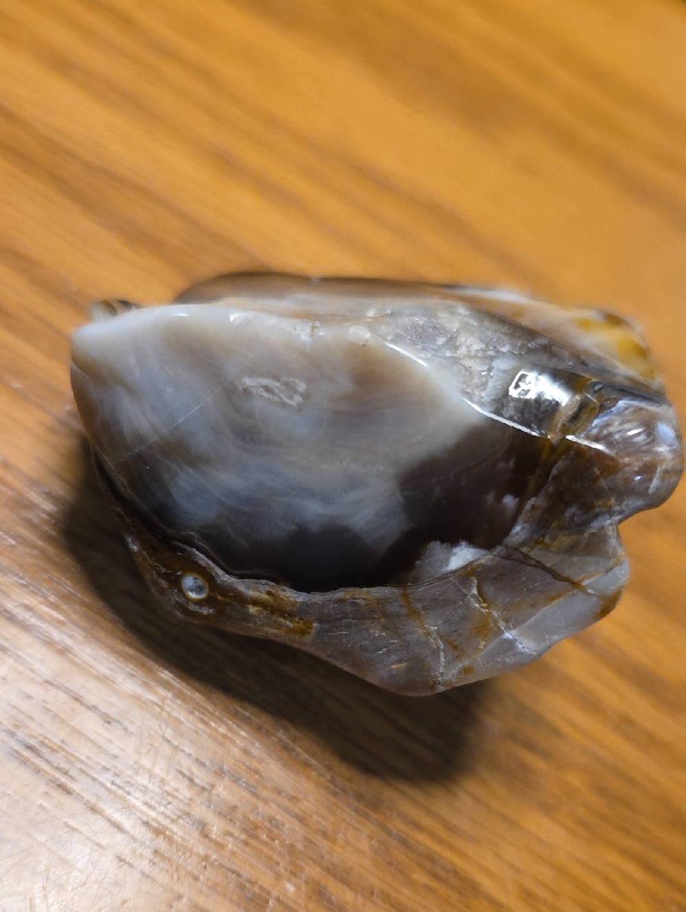 Polished Petrifird Wood